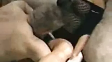 Fucks ម៉ាស្សា brunette ជាមួយនឹងការចាក់សាក់